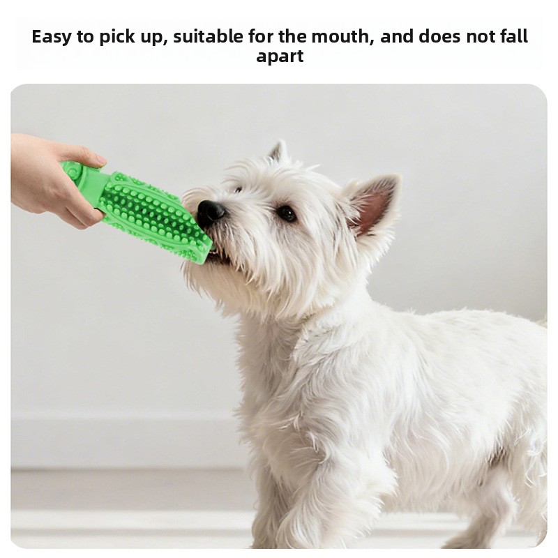 Teeth Cleaning Dog Chew Bone - Giocattolo da masticare per la pulizia