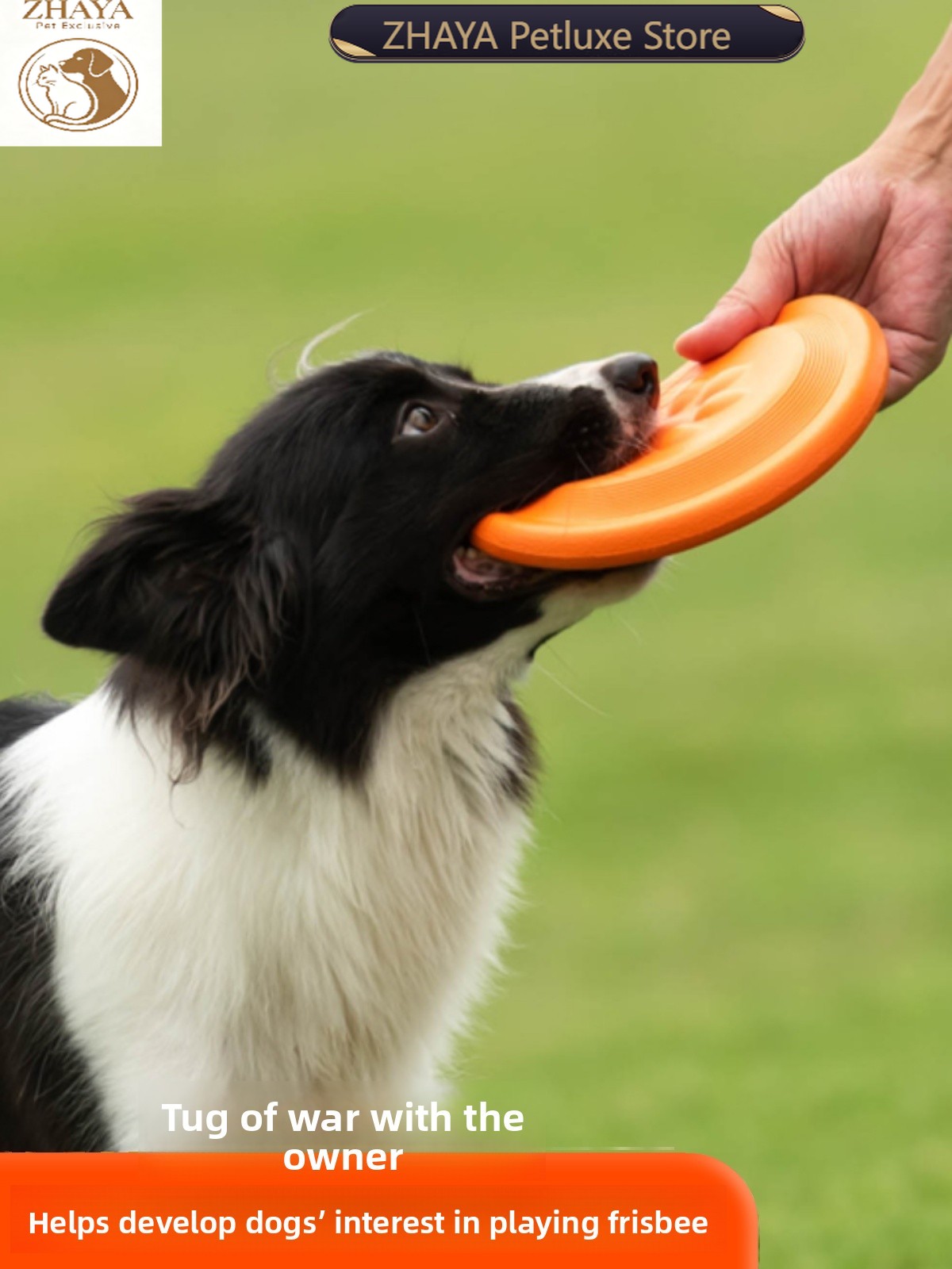 Flying Disc Dog Training Toy - Disco Volante per Cani Morbido e