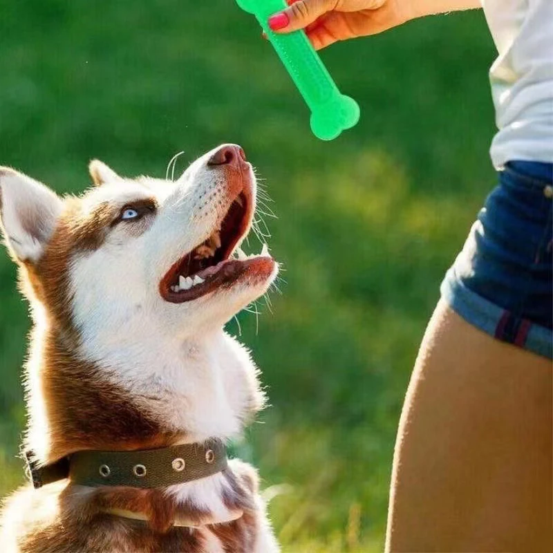 Teeth Cleaning Dog Chew Bone - Giocattolo da masticare per osso di