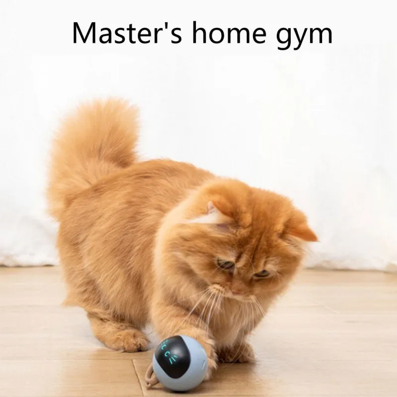 Automatic Moving Dog Ball - Giocattolo interattivo con palla per gatti,