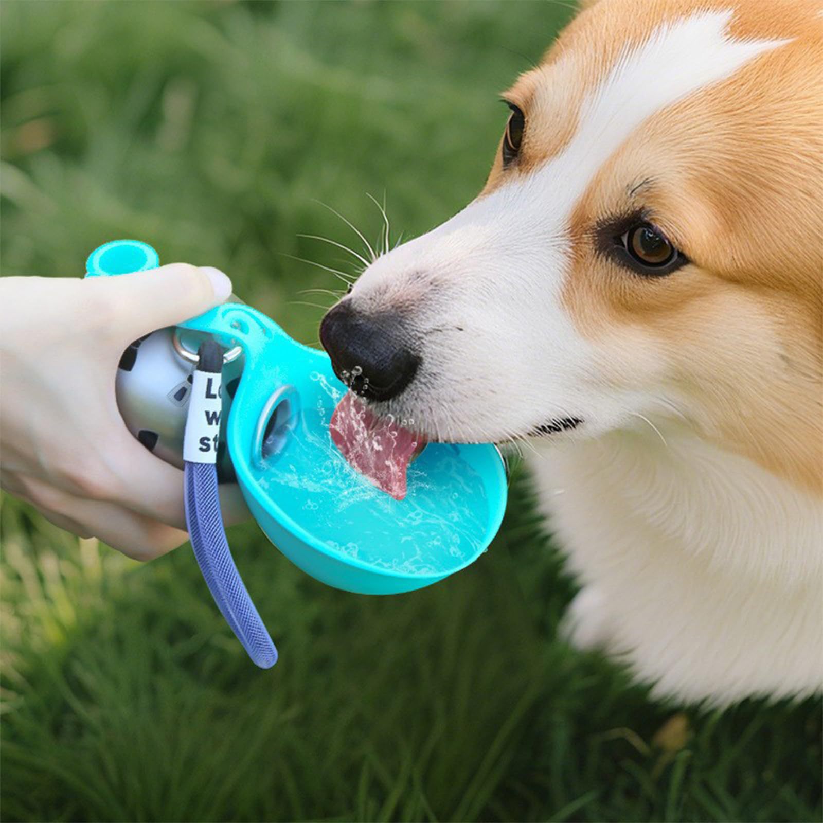 Pet Feeders - Dispenser d'acqua portatile in silicone ACG