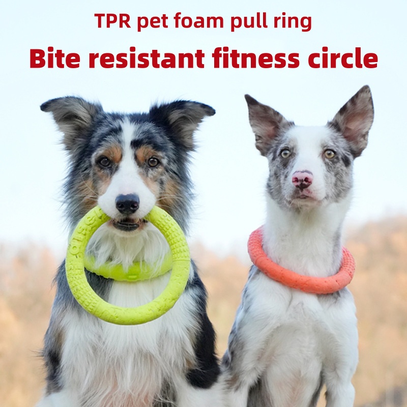 Flying Disc Dog Training Toy - Disco Volante per Cani in EVA