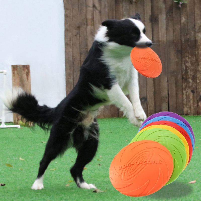 Flying Disc Dog Training Toy - Giocattolo interattivo con disco volante in
