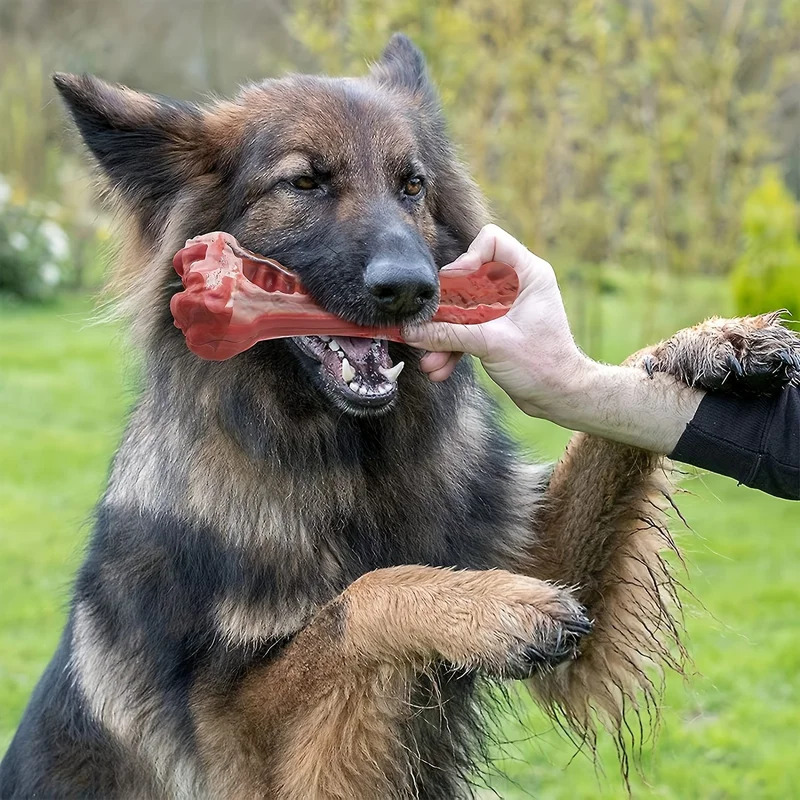 Indestructible Dog Chew Toy - Giocattolo da Masticare per Cani Super