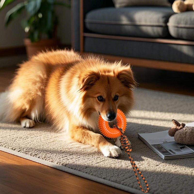 Dog Rope Toy Aggressive Chewers - Giocattoli striduli per cani Anello appuntito