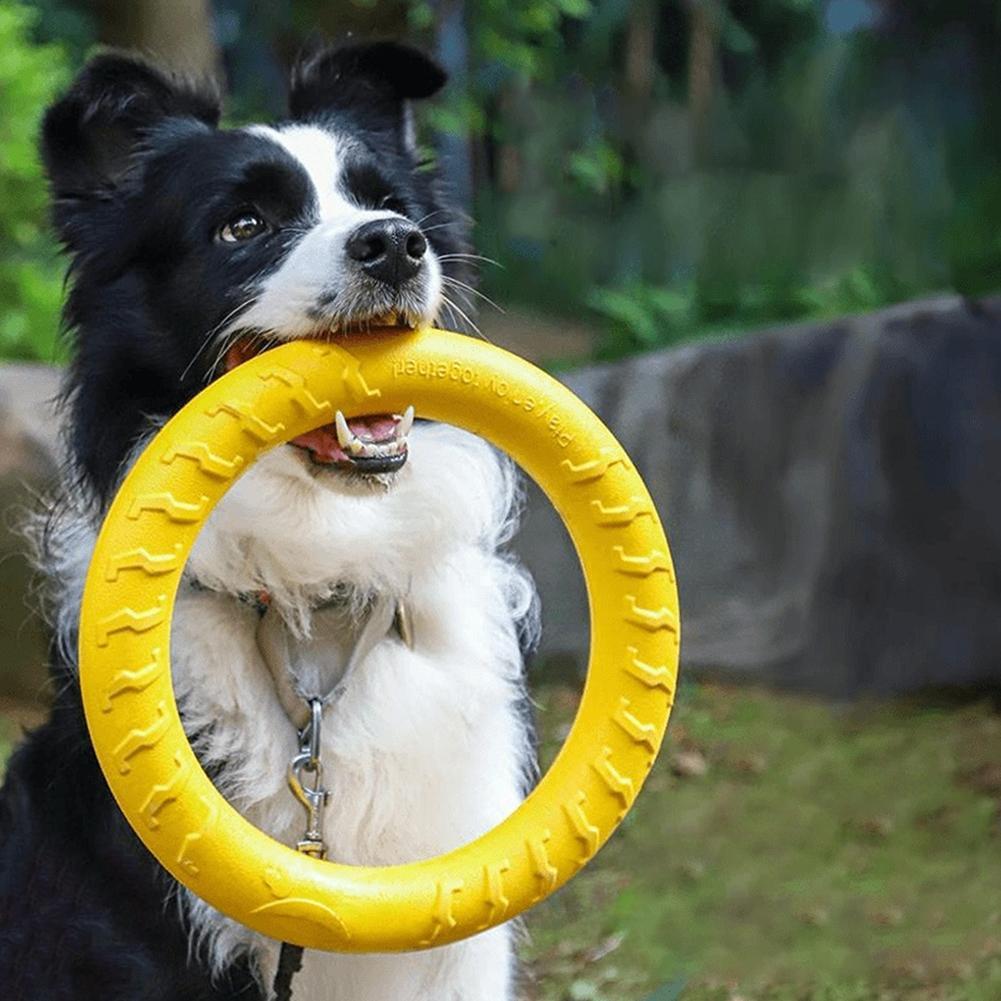 Indestructible Dog Chew Toy - Anelli Giocattolo per Cani Indistruttibili, per