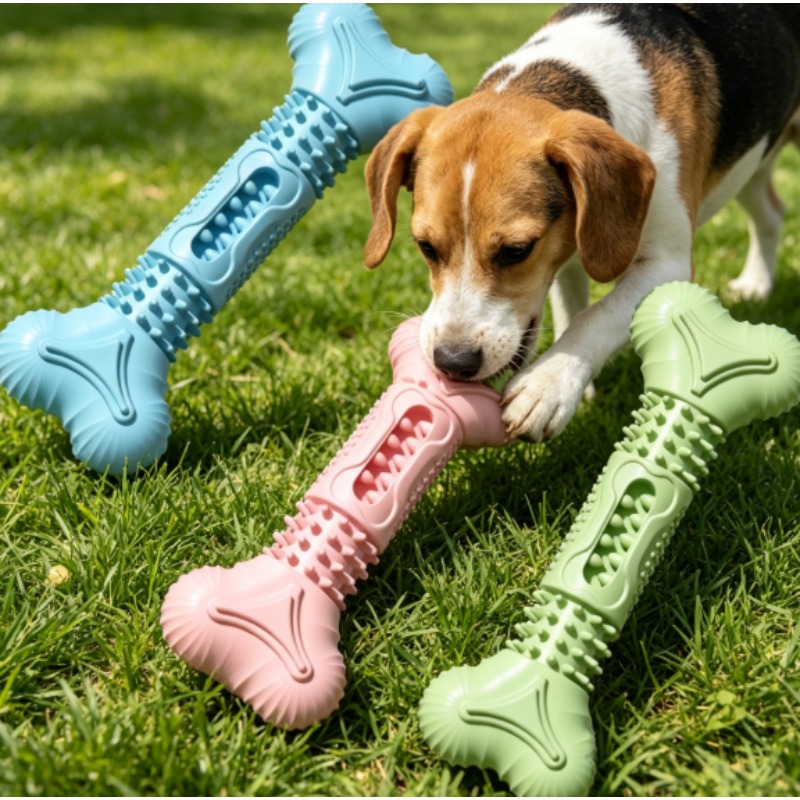 Teeth Cleaning Dog Chew Bone - Nuovo Set di Giocattoli Resistenti per