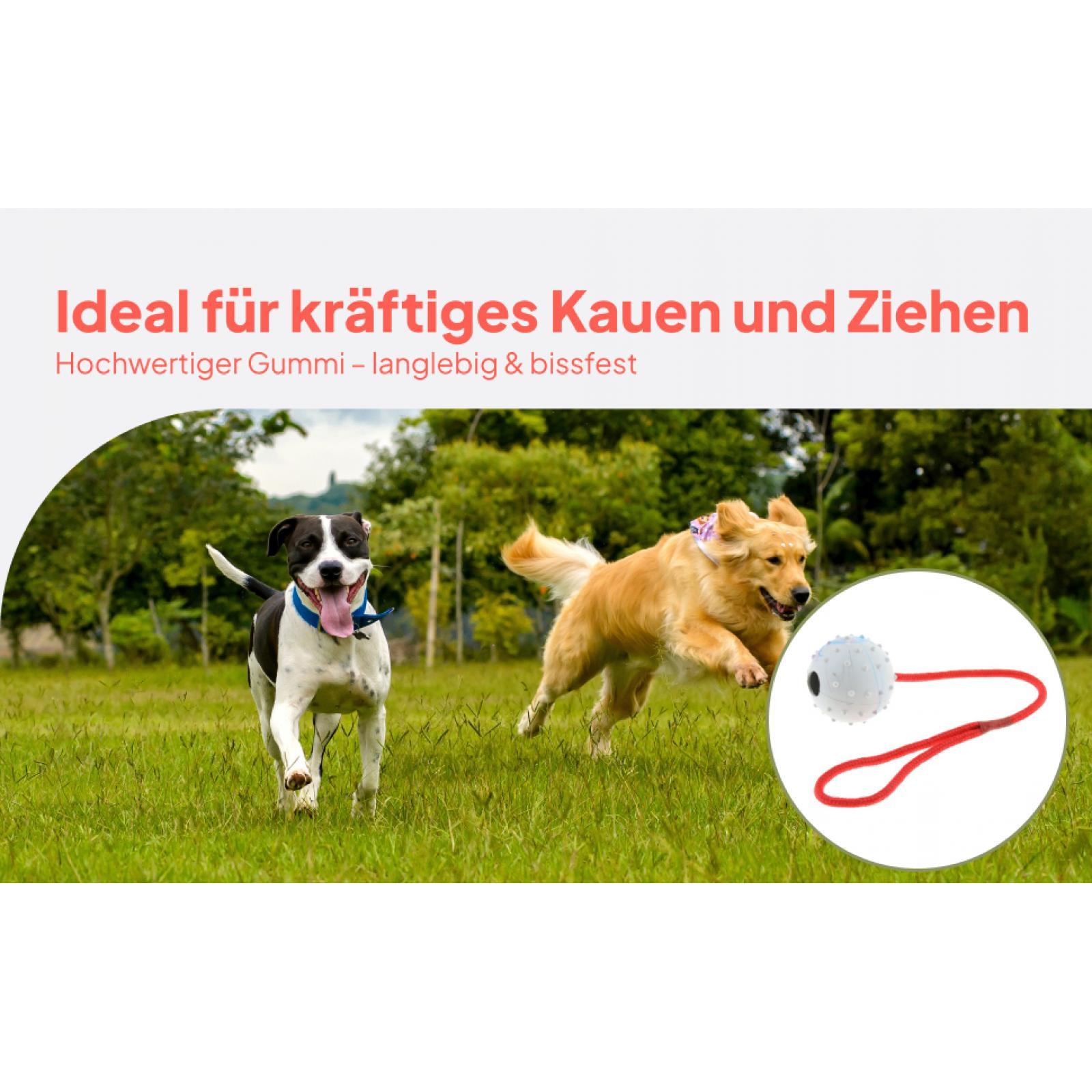 Rubber Treat Dispensing Dog Toy - Giocattolo per Addestramento Animali Domestici, Palla