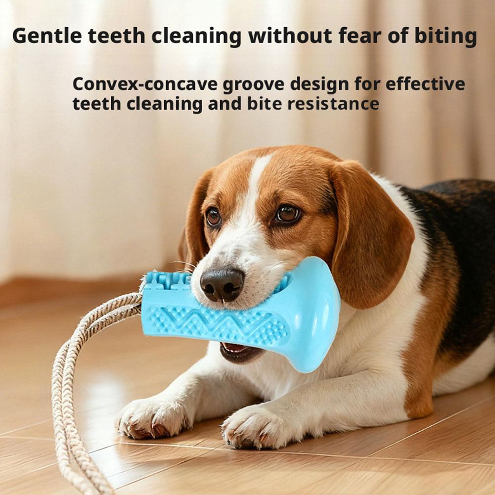Giocattolo da masticare per ca - Suction Cup Dog Tug Toy recensione e prezzo