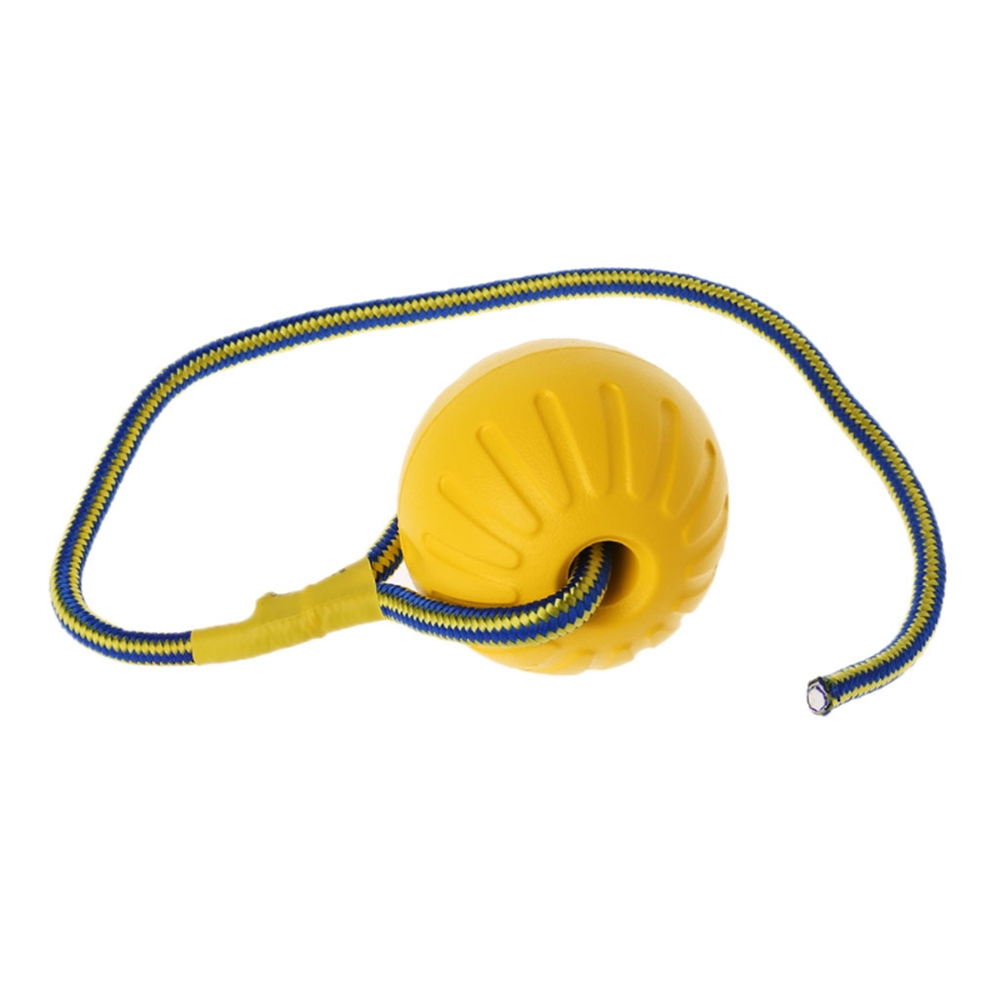 Palla giocattolo per cani con  - Suction Cup Dog Tug Toy recensione e prezzo