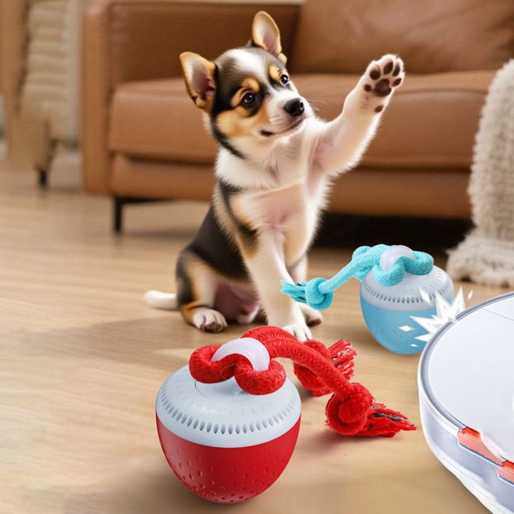 Palla Giocattolo Interattiva p - Automatic Moving Dog Ball recensione e prezzo