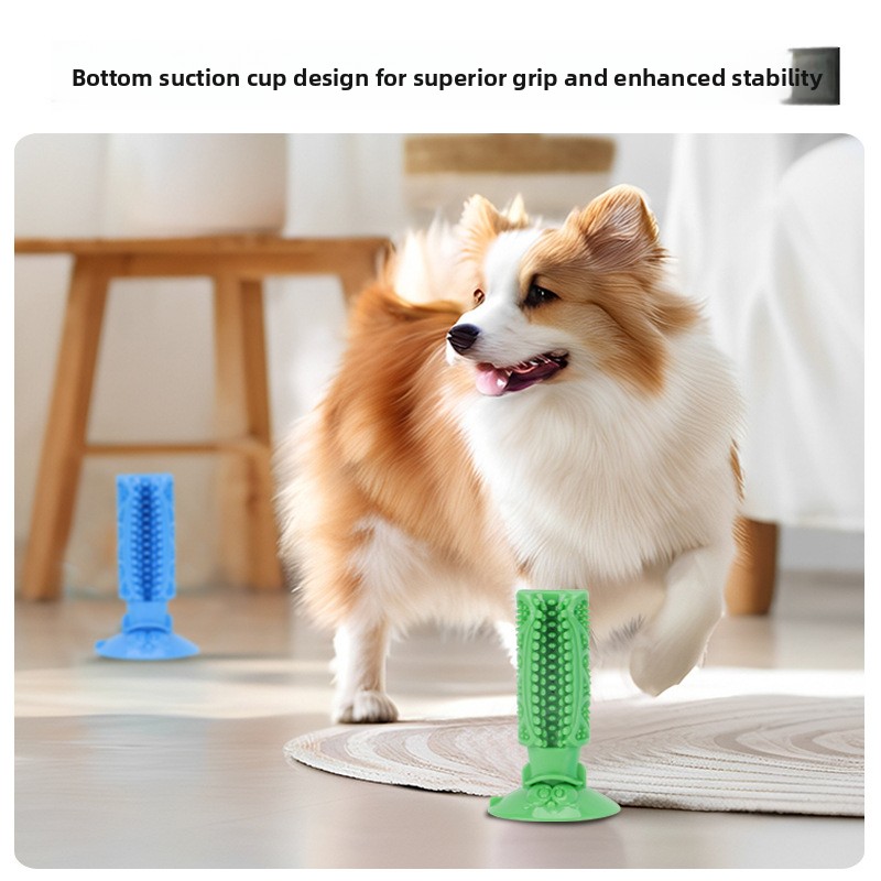 Giocattolo da masticare per la - Teeth Cleaning Dog Chew Bone recensione e prezzo