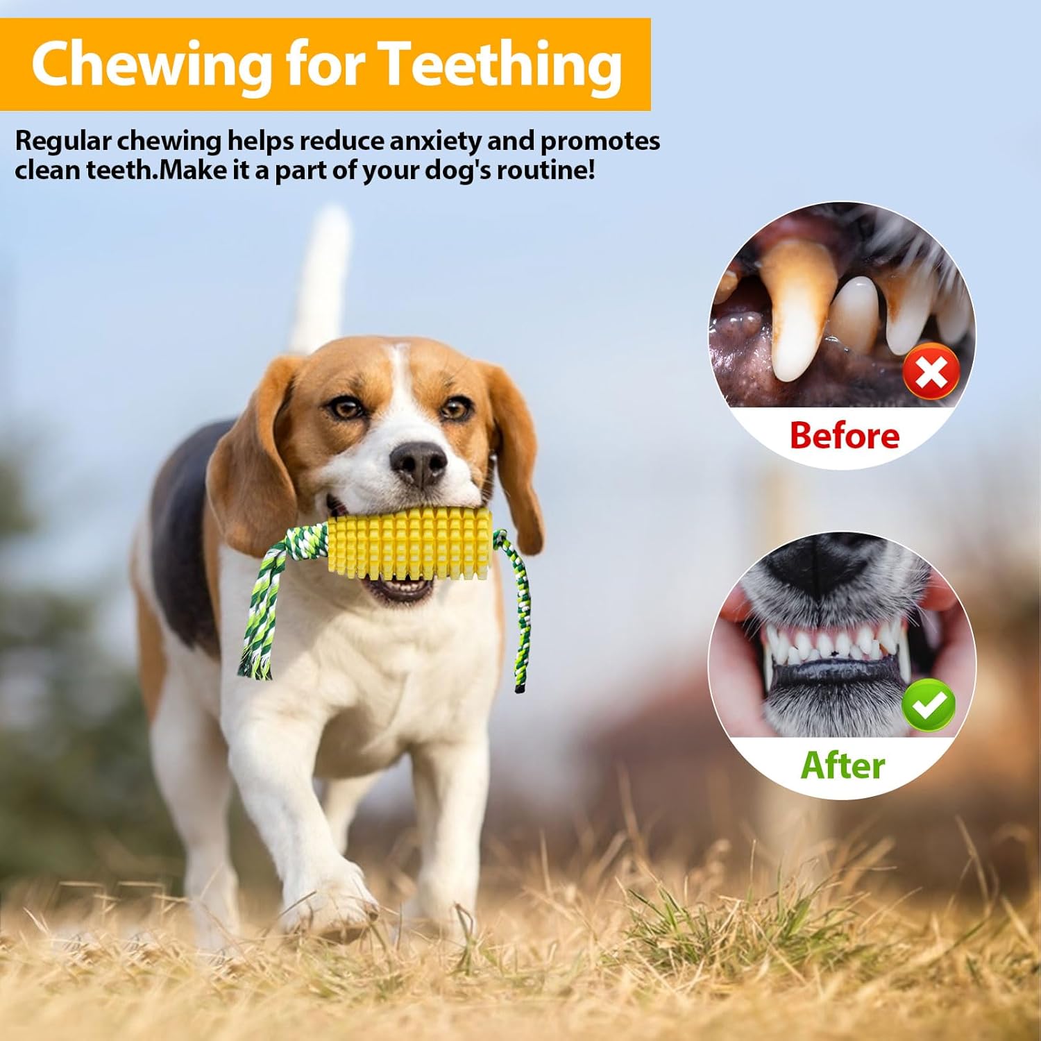 Giocattolo da masticare per ca - Dog Rope Toy Aggressive Chewers recensione e prezzo