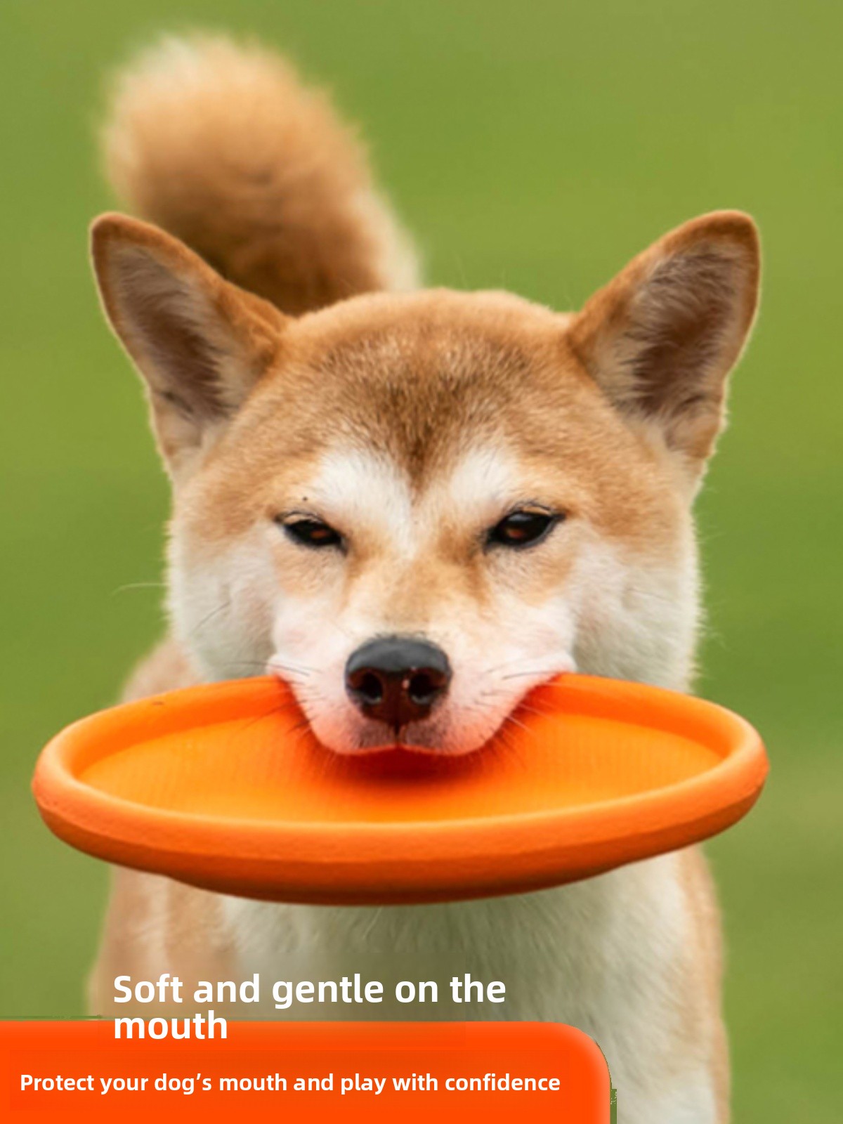 Disco Volante per Cani Morbido - Flying Disc Dog Training Toy recensione e prezzo