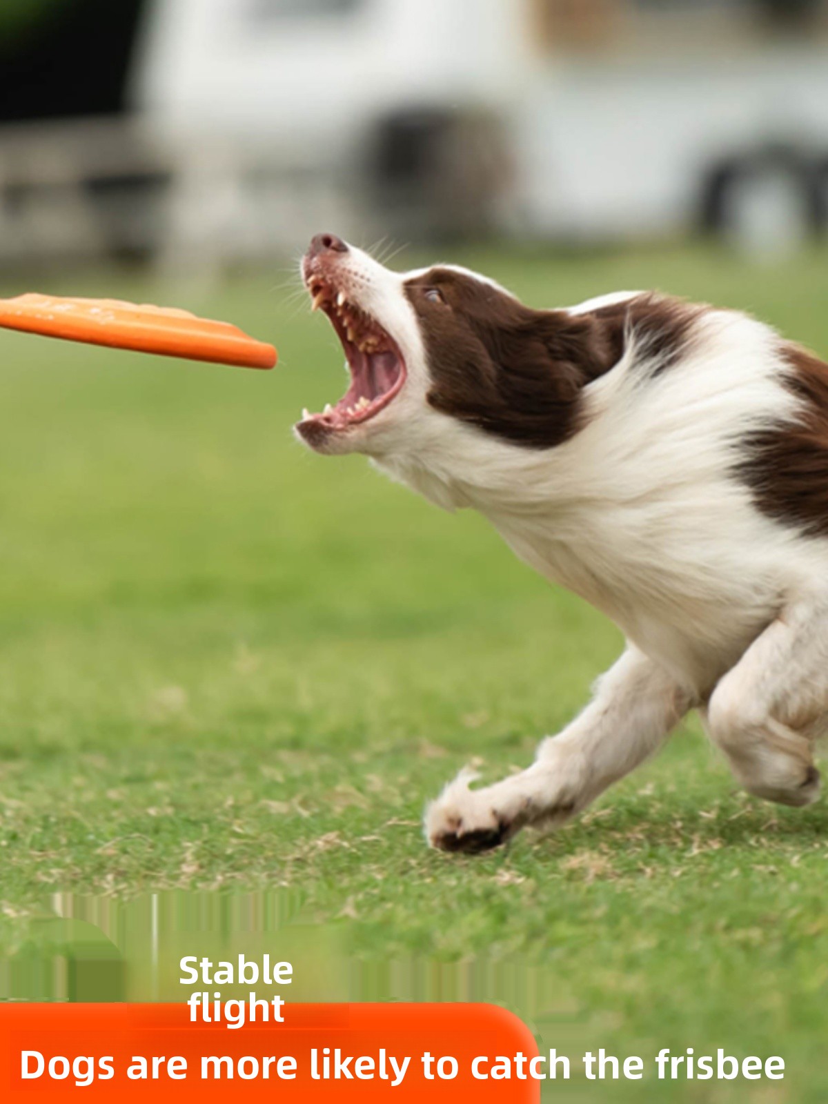 Disco Volante per Cani Morbido - Flying Disc Dog Training Toy recensione e prezzo