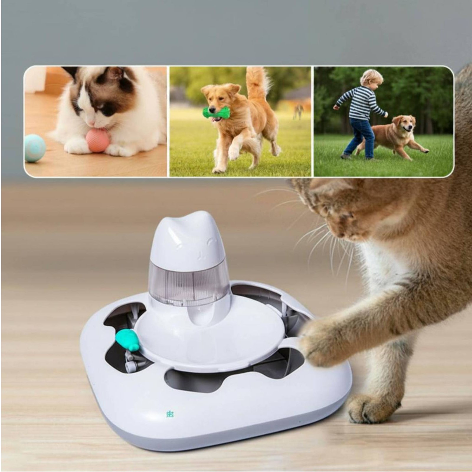 Macchina per il Gioco Interatt - Cat Toys recensione e prezzo