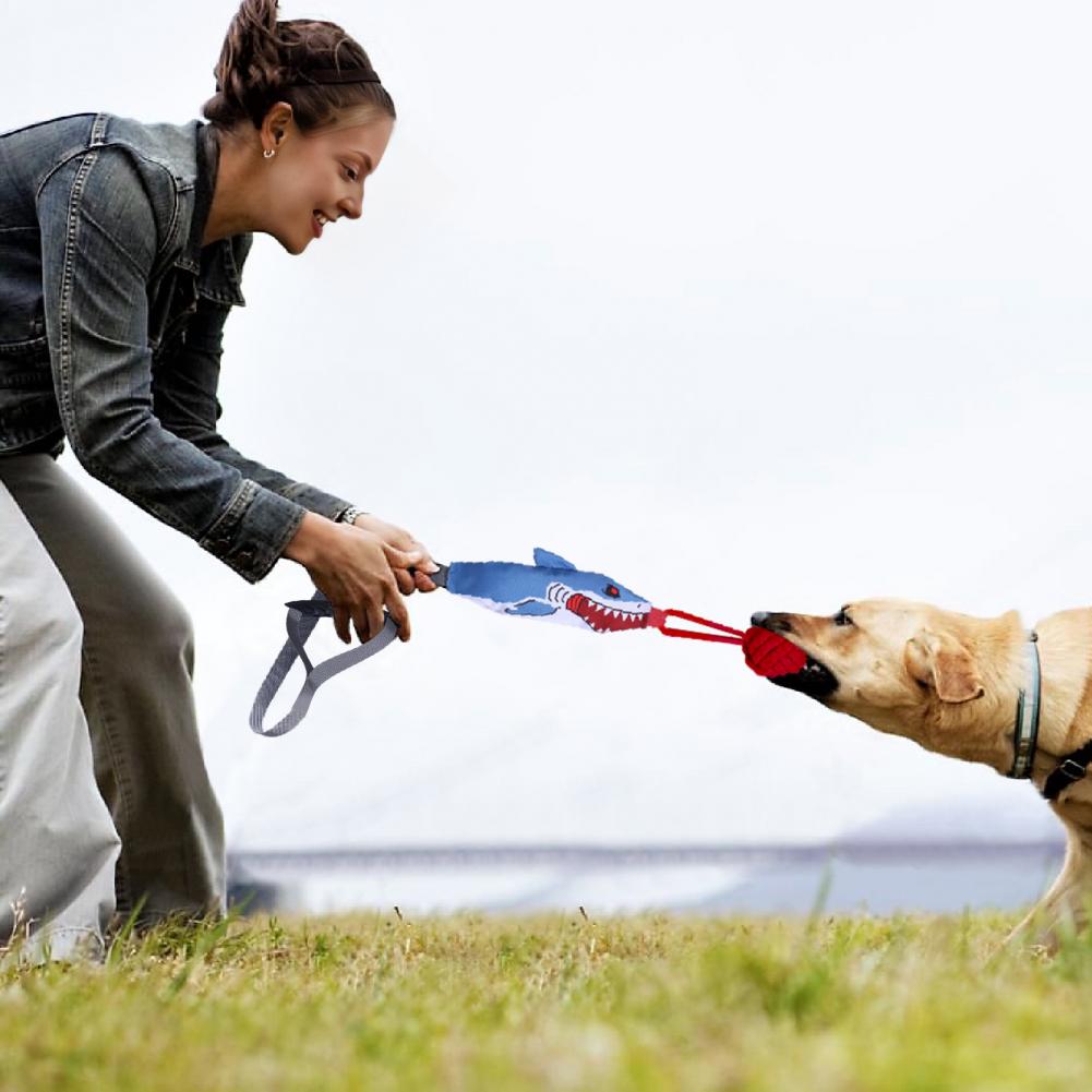 Giocattolo Interattivo per Can - Suction Cup Dog Tug Toy recensione e prezzo