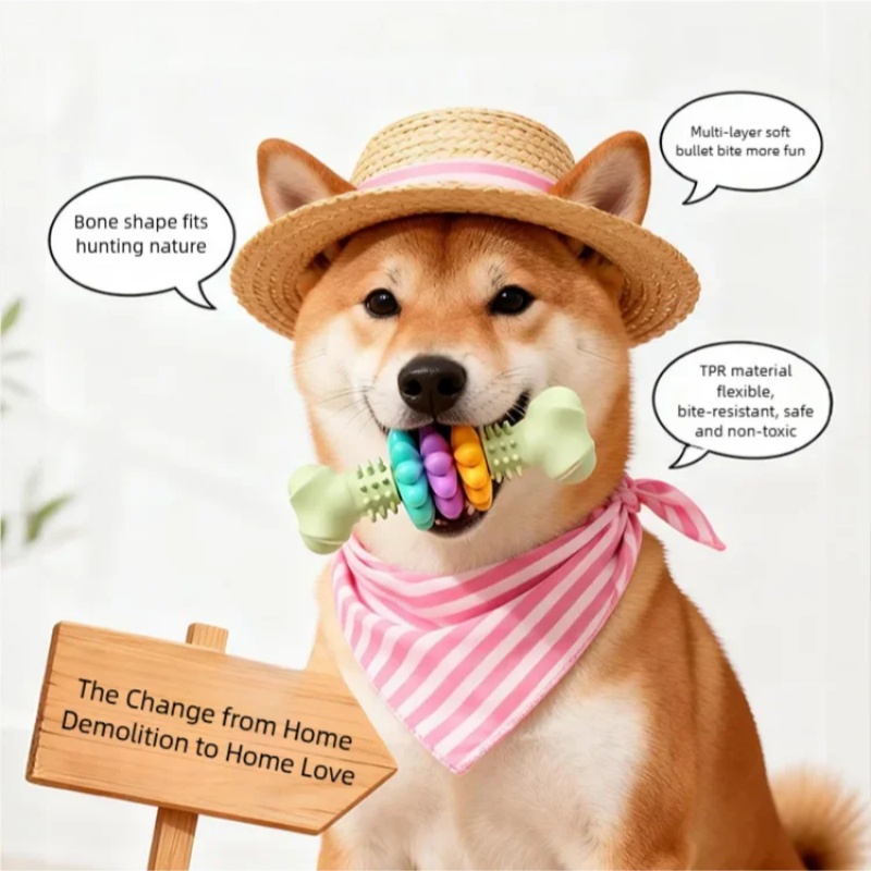 Giocattolo da Masticare per Ca - Teeth Cleaning Dog Chew Bone recensione e prezzo