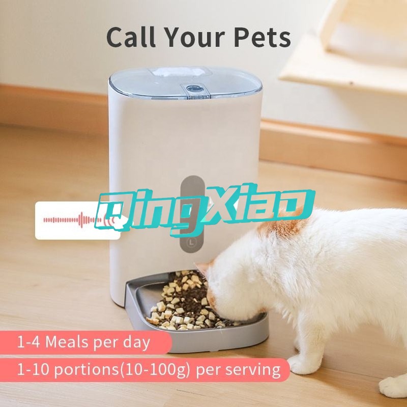 Distributore Automatico di Cib - Pet Feeders recensione e prezzo