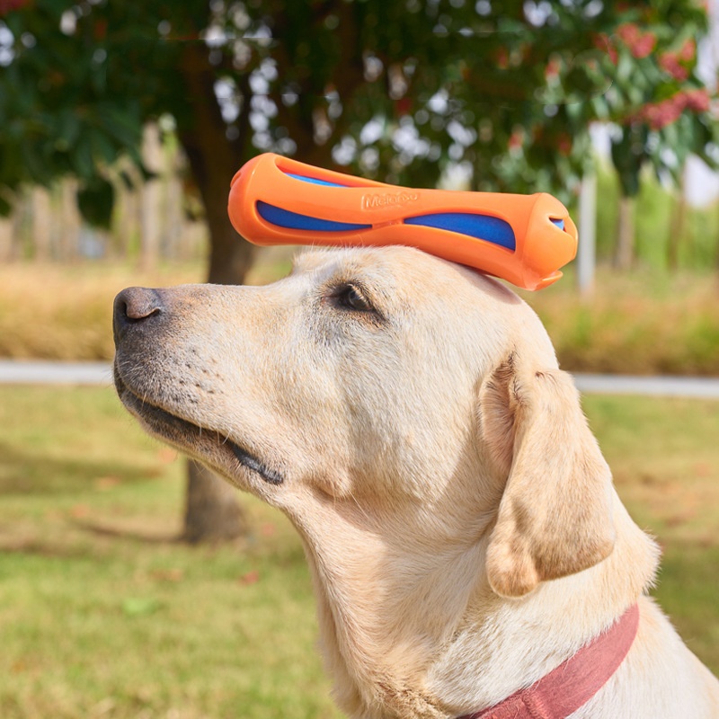 Giocattolo Galleggiante Indist - Indestructible Dog Chew Toy recensione e prezzo