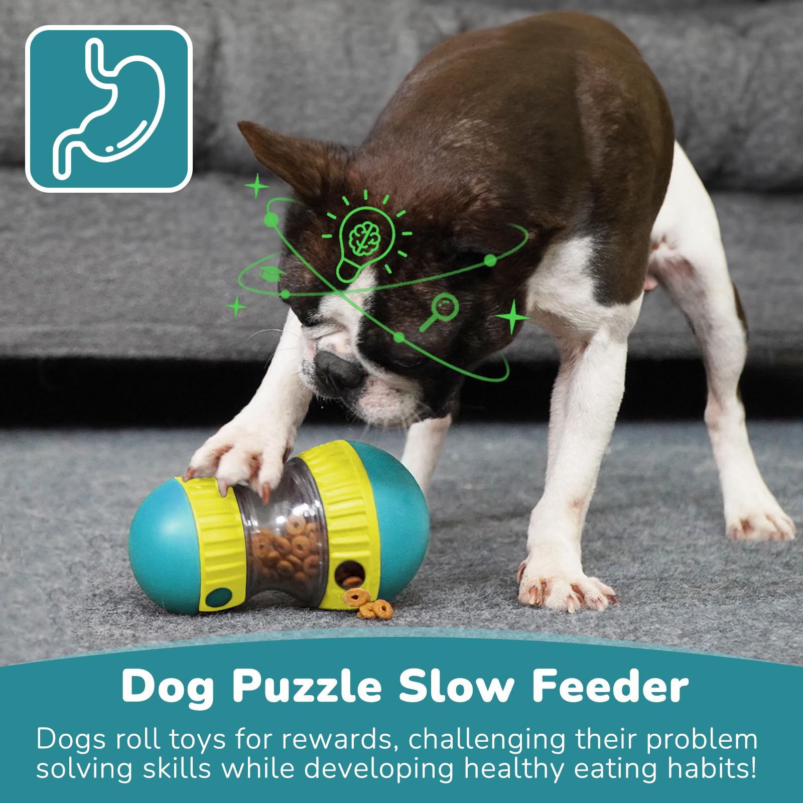 Giocattoli per cani e palla pe - Dog Puzzle Feeder Toy recensione e prezzo