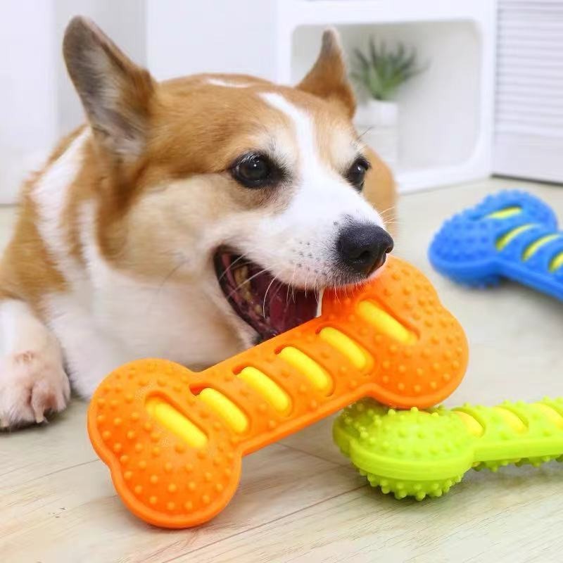 Bastoncino in Gomma a Forma di - Teeth Cleaning Dog Chew Bone recensione e prezzo