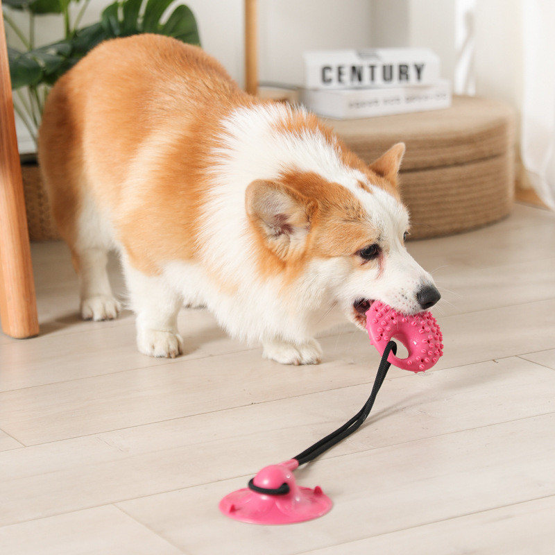 Giocattoli per cani Ventosa in - Suction Cup Dog Tug Toy recensione e prezzo