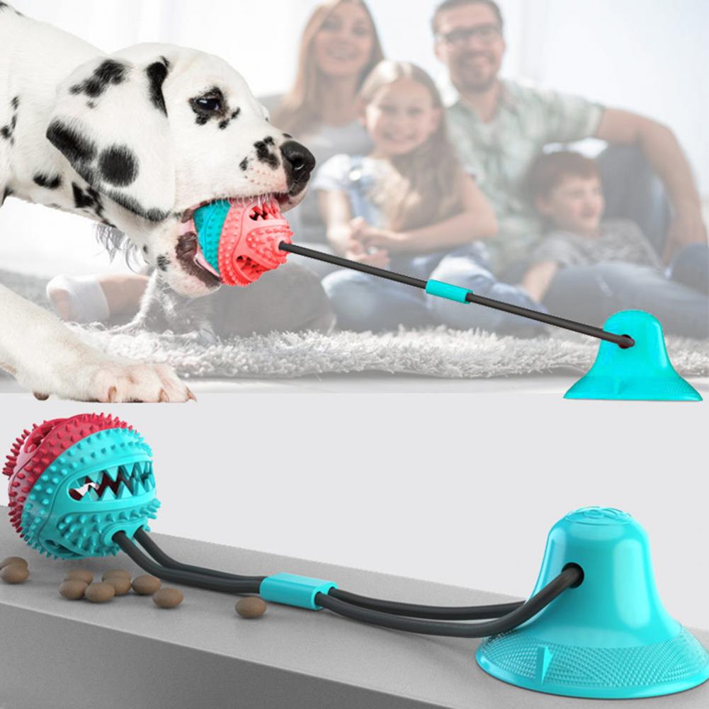 Giocattoli da masticare per ca - Suction Cup Dog Tug Toy recensione e prezzo