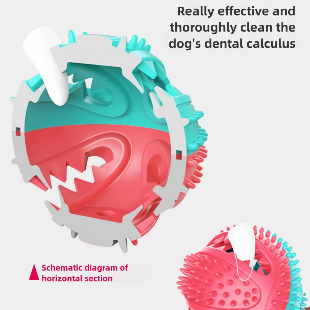 Giocattoli da masticare per ca - Suction Cup Dog Tug Toy recensione e prezzo