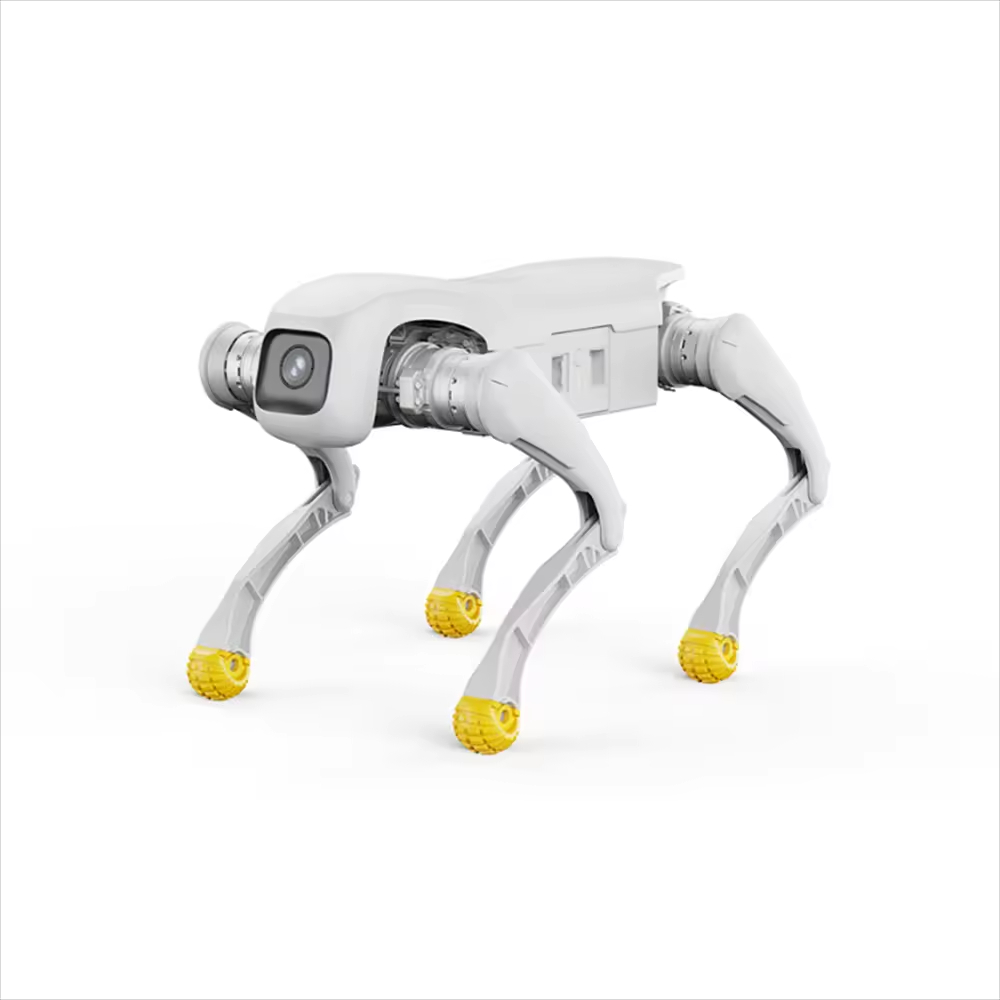 Robot per cani di design Gioca - Dog Toys recensione e prezzo