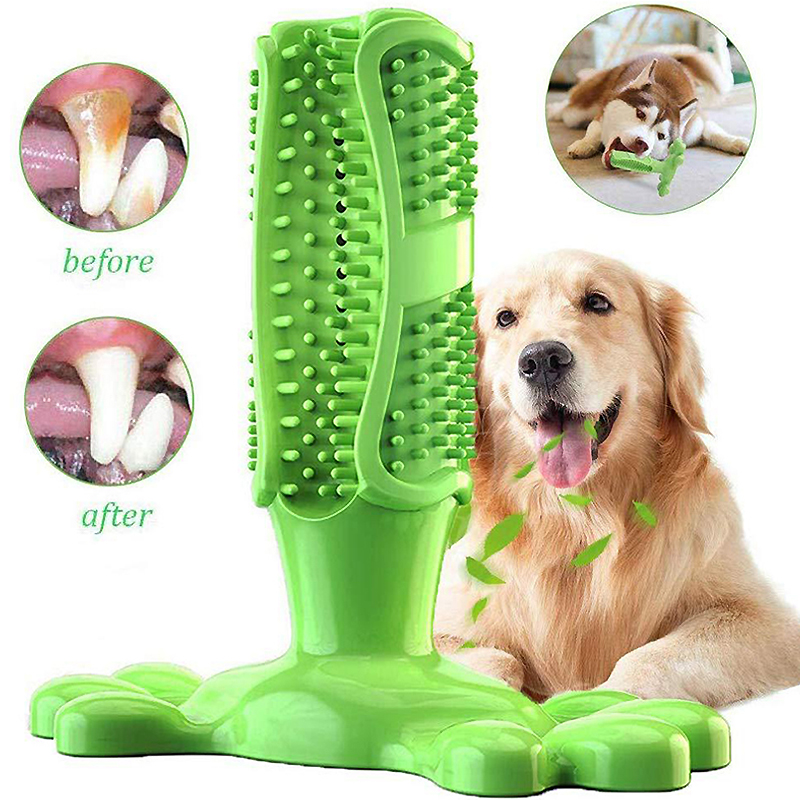 Pet Dog Cactus Interactive gom - Rubber Treat Dispensing Dog Toy recensione e prezzo
