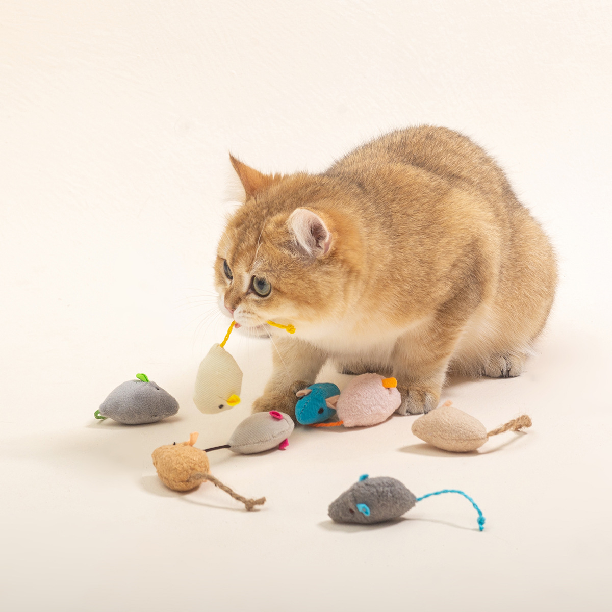 16 pezzi interattivi per topi  - Catnip Interactive Plush Mouse recensione e prezzo