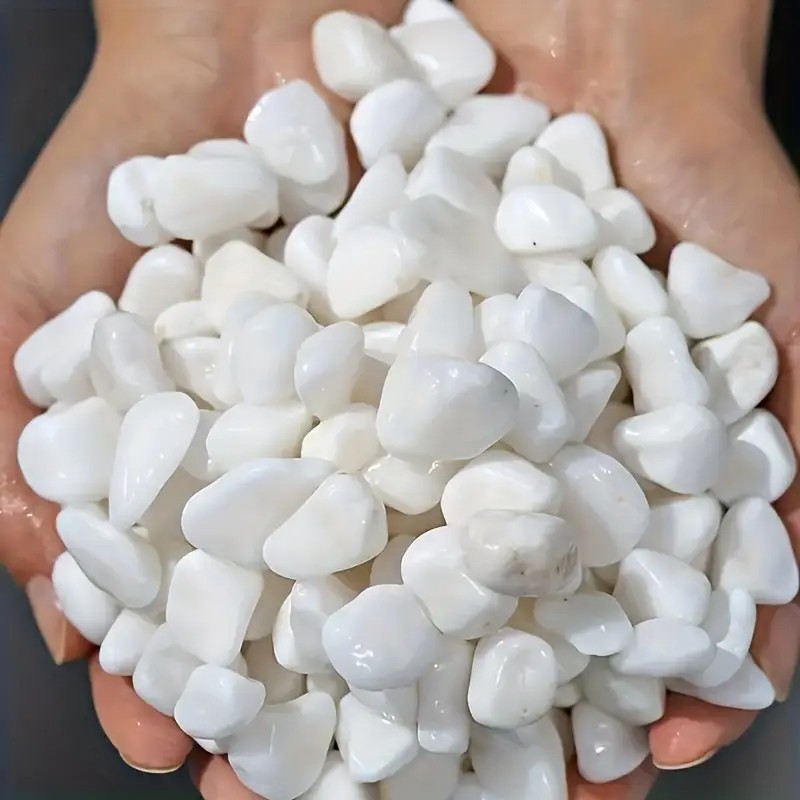 1L di alta qualità perlite suc - Pet Beds recensione e prezzo