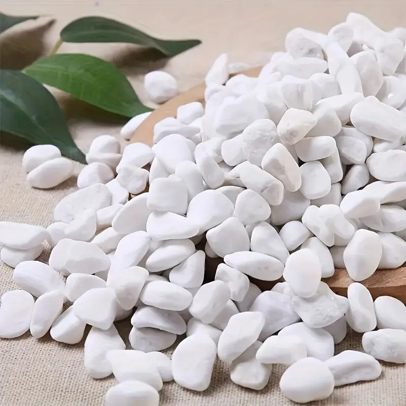 1L di alta qualità perlite suc - Pet Beds recensione e prezzo
