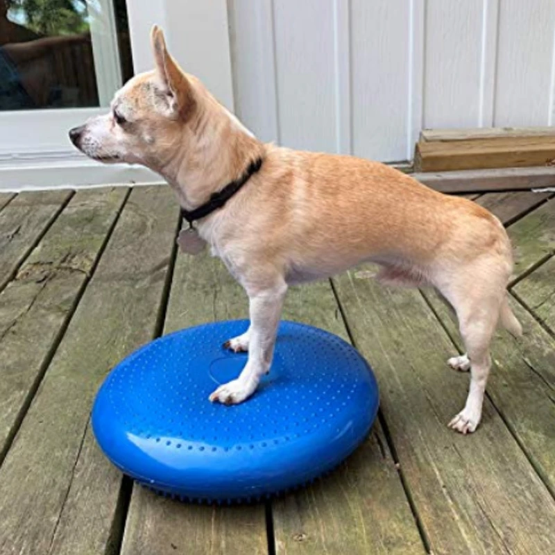 Ausili per l'allenamento dei c - Flying Disc Dog Training Toy recensione e prezzo