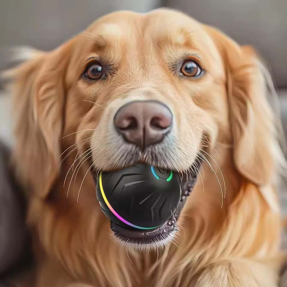 Palline Interattive Intelligen - Automatic Moving Dog Ball recensione e prezzo