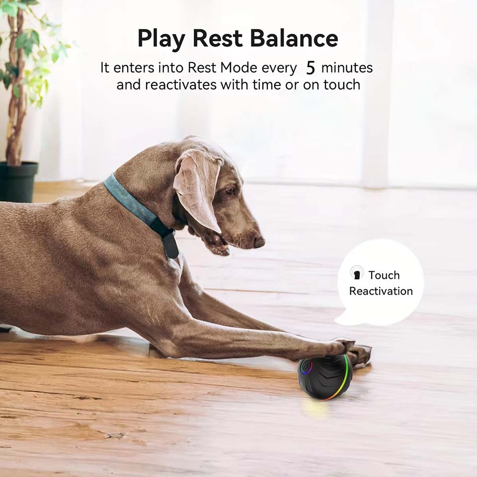Palline Interattive Intelligen - Automatic Moving Dog Ball recensione e prezzo