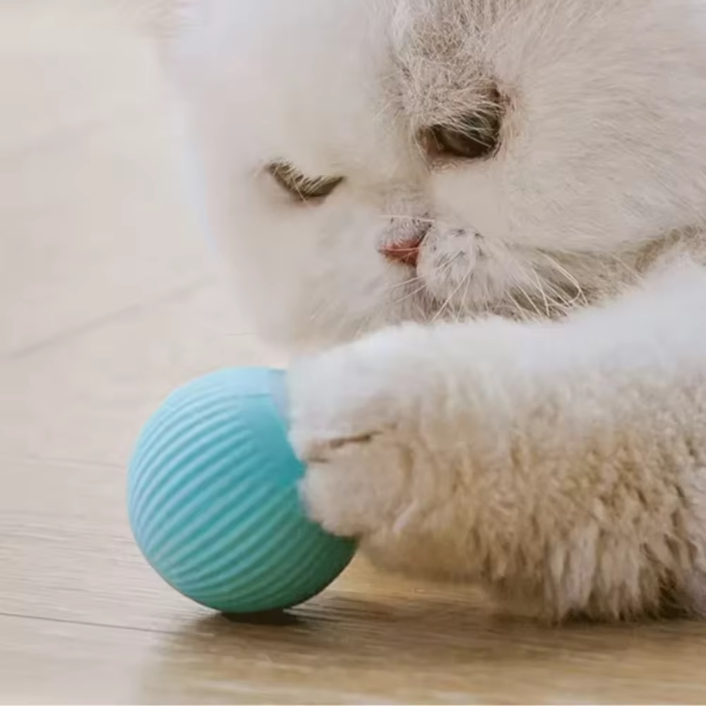 Palla in movimento automatico  - Automatic Moving Dog Ball recensione e prezzo