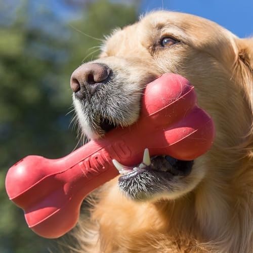 Osso per Cani Classico e Resis - Rubber Treat Dispensing Dog Toy recensione e prezzo