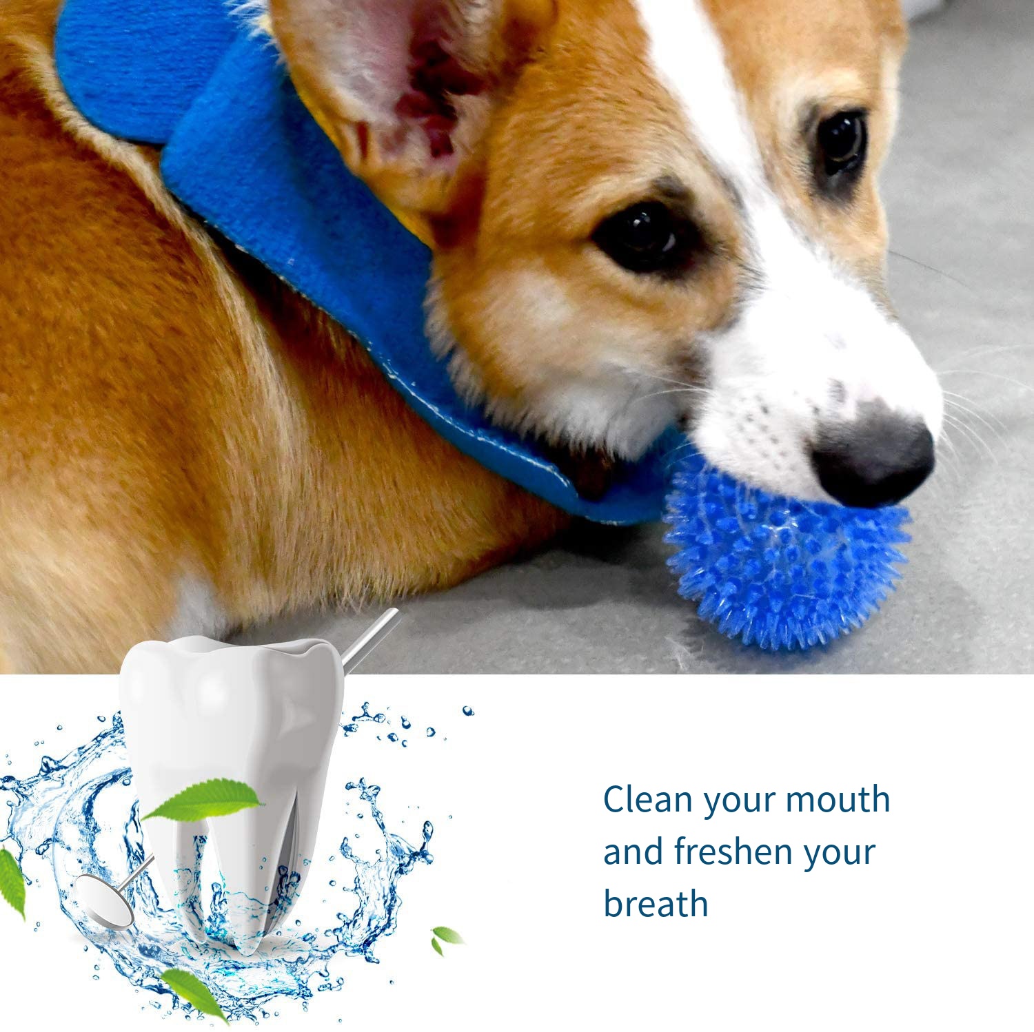 Giocattoli per cani Giocattolo - Suction Cup Dog Tug Toy recensione e prezzo