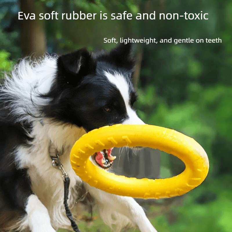Frisbee Indistruttibile per Ca - Indestructible Dog Chew Toy recensione e prezzo
