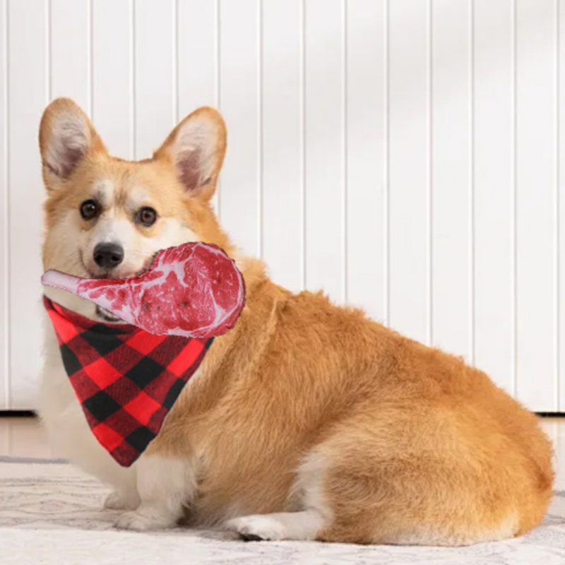 Giocattolo per cani a forma di - Teeth Cleaning Dog Chew Bone recensione e prezzo