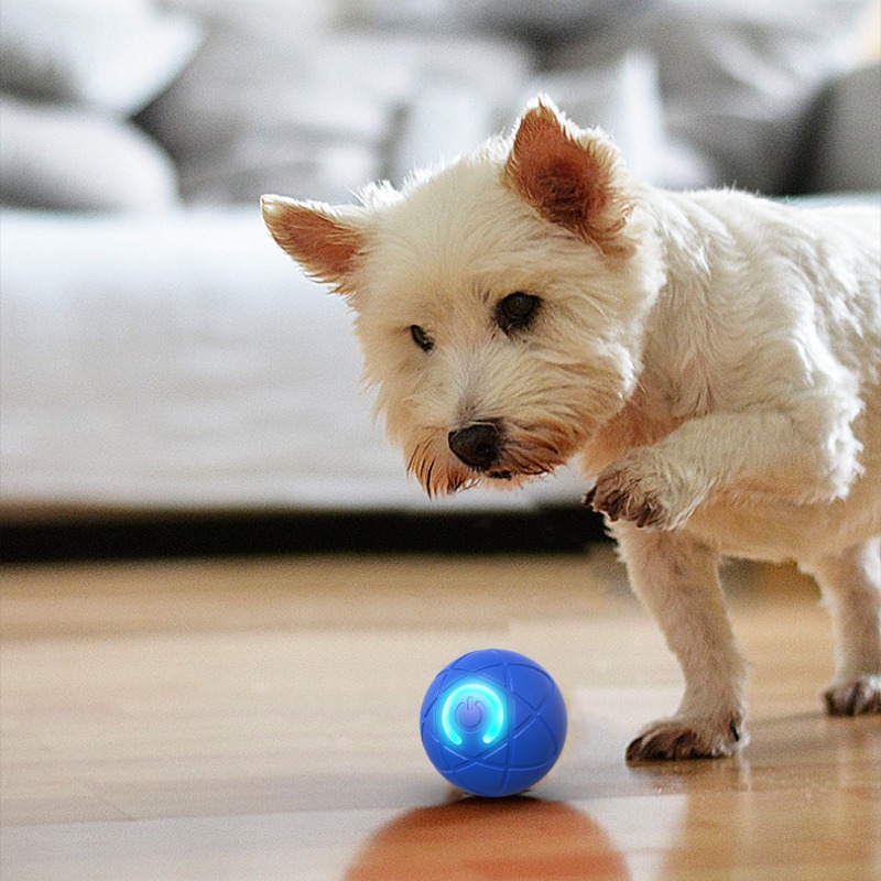 Palla giocattolo per cani inte - Suction Cup Dog Tug Toy recensione e prezzo
