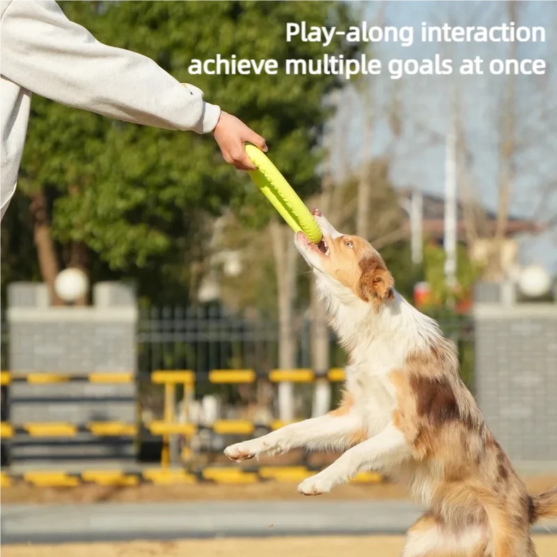 Disco Volante per Cani in EVA  - Flying Disc Dog Training Toy recensione e prezzo
