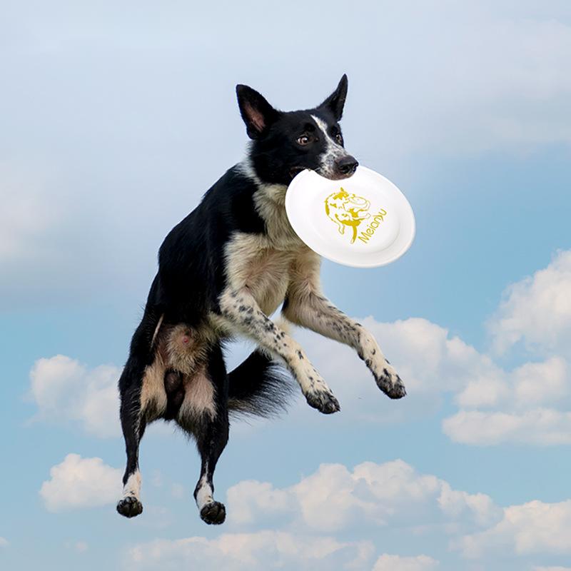 OUZEY resistente al morso Pet  - Flying Disc Dog Training Toy recensione e prezzo