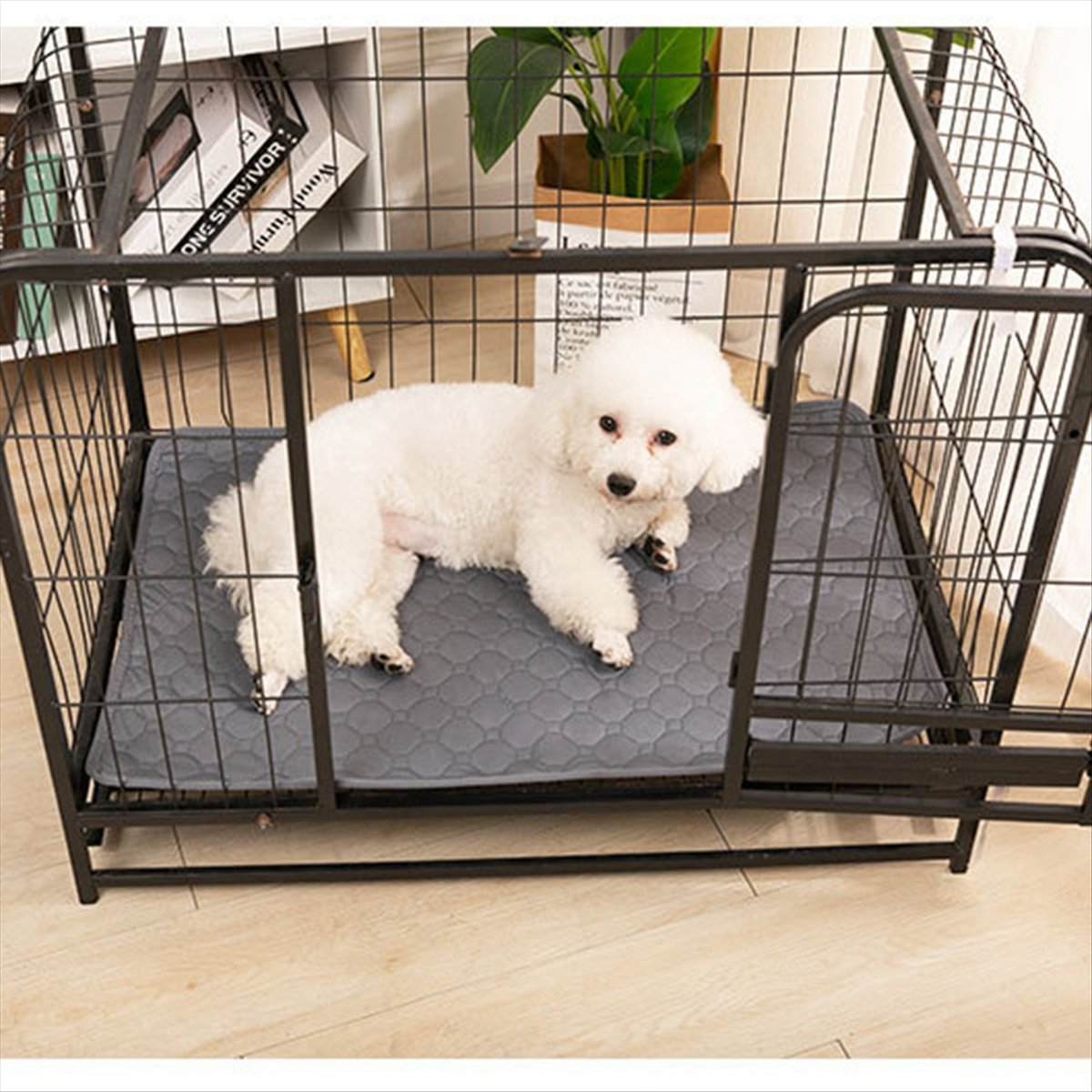 *A14E Coperta riutilizzabile p - Pet Beds recensione e prezzo