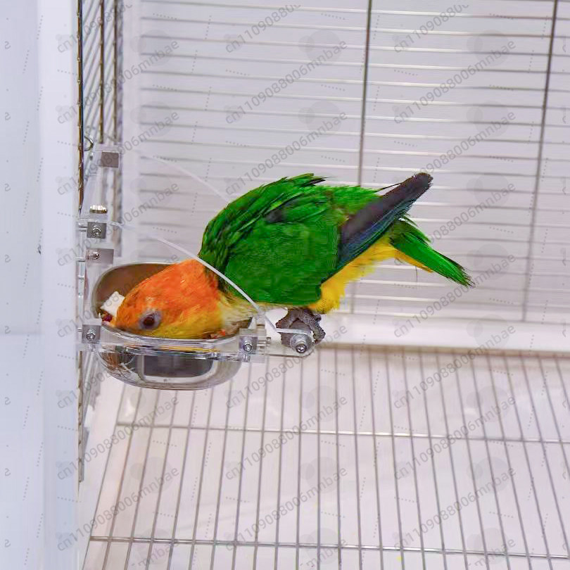 Ciotola per Pappagalli in Acci - Pet Feeders recensione e prezzo