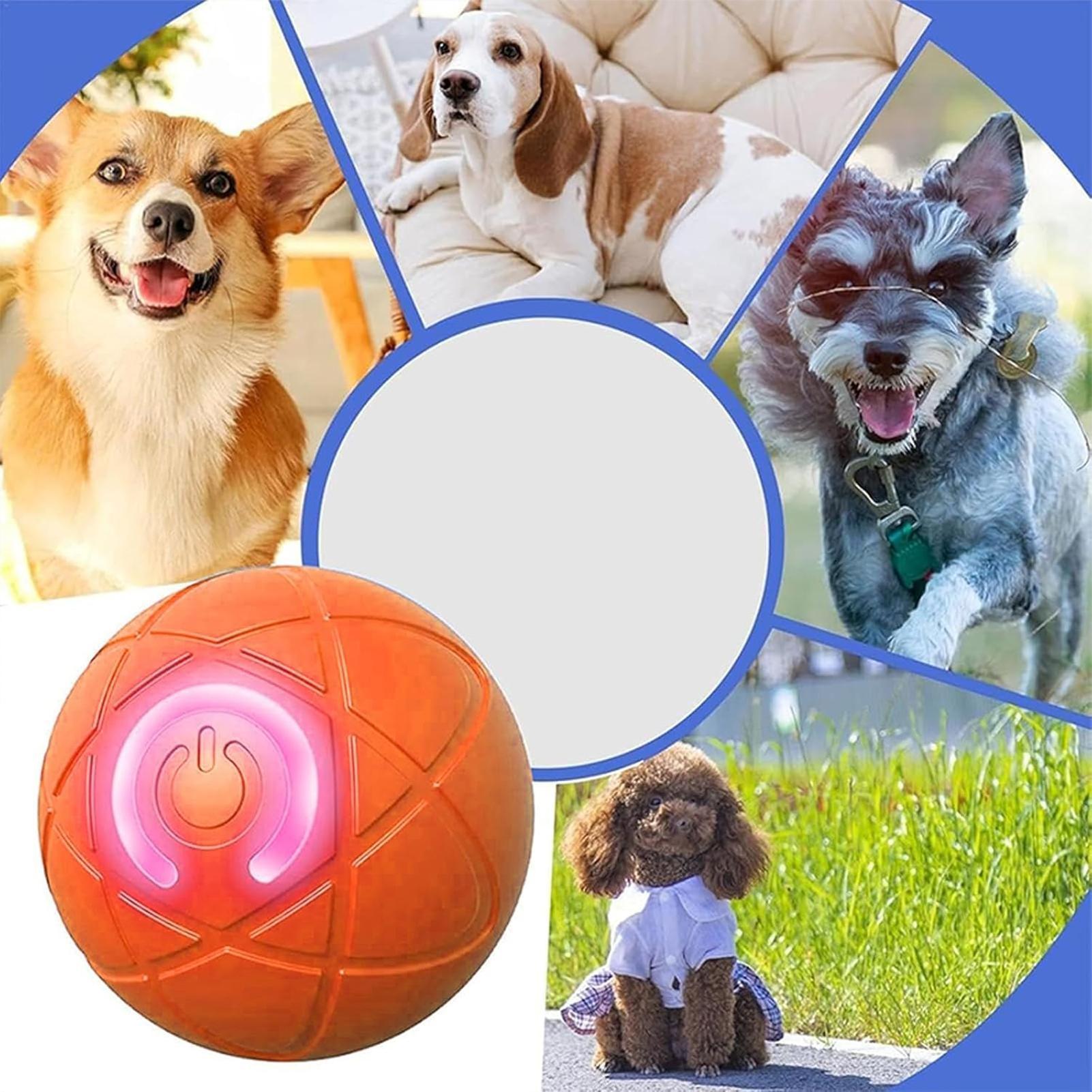 Giocattolo Interattivo per Can - Automatic Moving Dog Ball recensione e prezzo