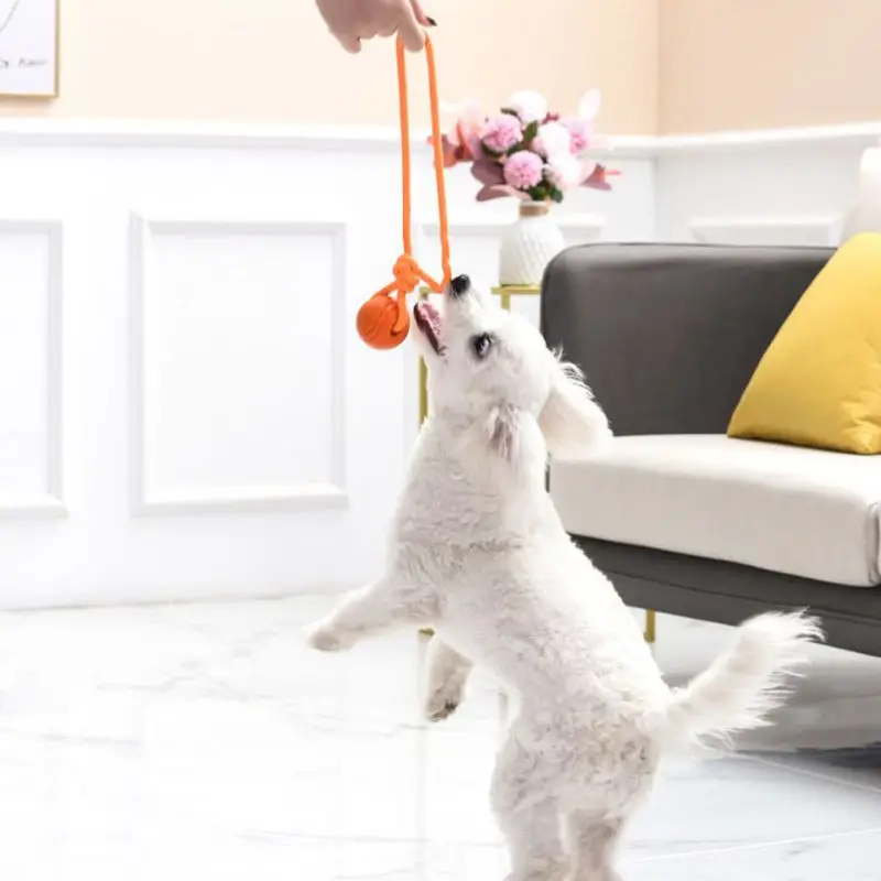 Palla da addestramento per can - Suction Cup Dog Tug Toy recensione e prezzo