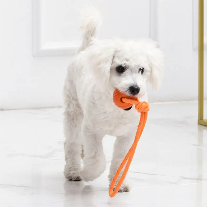 Palla da addestramento per can - Suction Cup Dog Tug Toy recensione e prezzo
